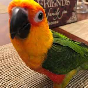 Meet your Posher, Jennifer